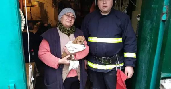 Под Одессой спасатели достали щенка из сливной ямы, спрятанной под железобетонным покрытием - 