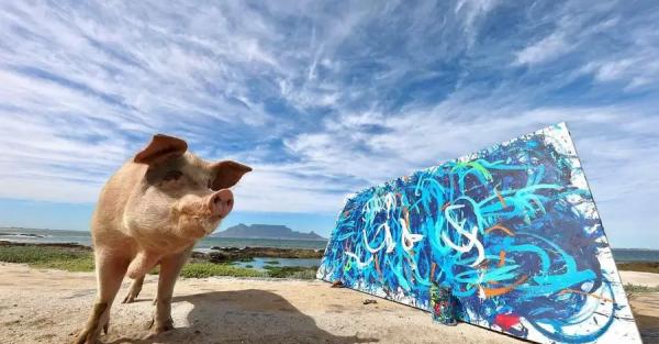 Картину свиньи-художницы продали за 26 тысяч долларов. Животное спасли от забоя в 2016 году - 