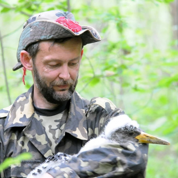 Эколог об исчезновении воробьев в Украине: Без этих птиц вредители уничтожат парки и сады - 